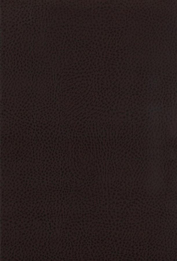 Dewey Upholstered Counter Chair Walnut (Set of 2)