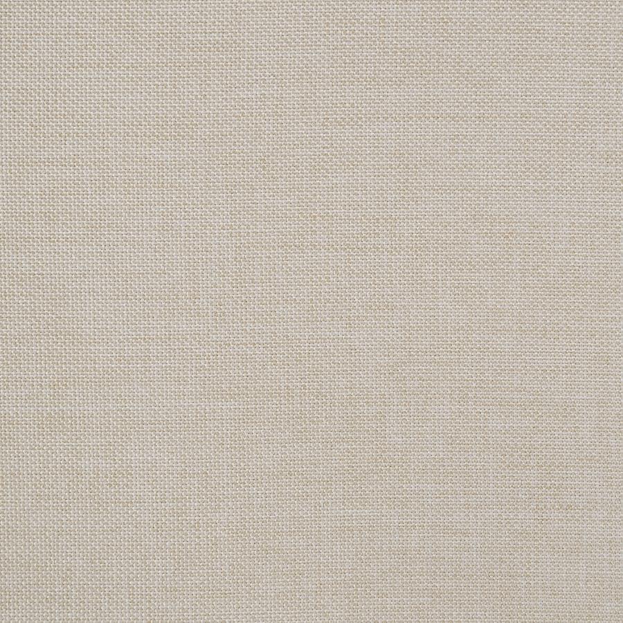 Sadie Upholstered Twin Daybed with Trundle Taupe