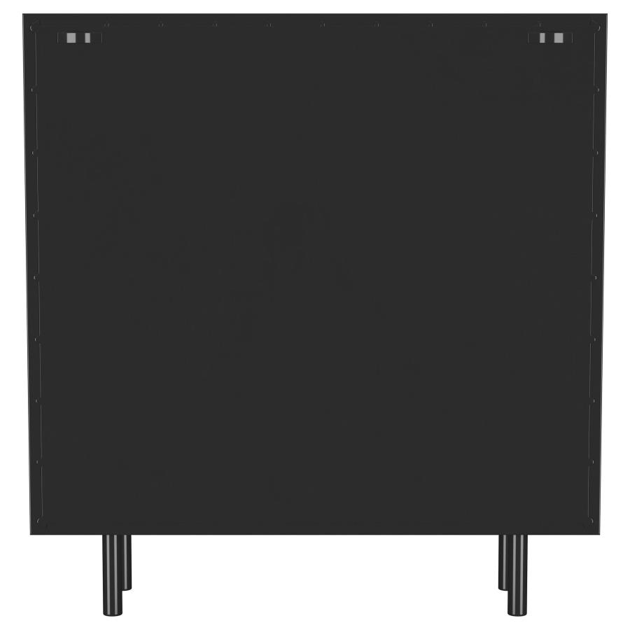 Dalia 2-door Accent Storage Cabinet with Shelving Black