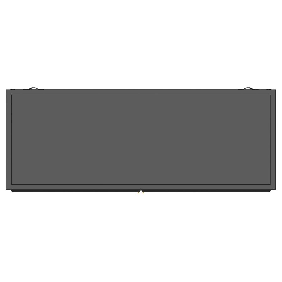Dalia 2-door Accent Storage Cabinet with Shelving Black
