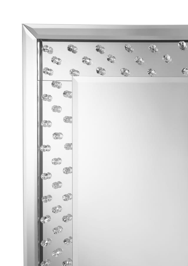 Yves 24 x 63 Inch Acrylic Crystal Floor Mirror Silver